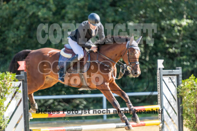 RFV Dinslaken-Hiesfeld (Herbstturnier)