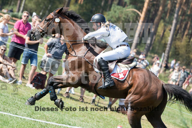 FEI European Championship Eventing 2019