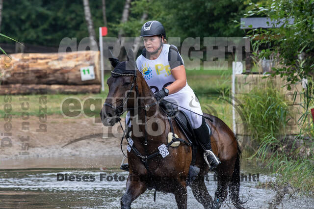 Late-Entry Vielseitigkeit Hamminkeln/Wesel (01.+02.08.2020)