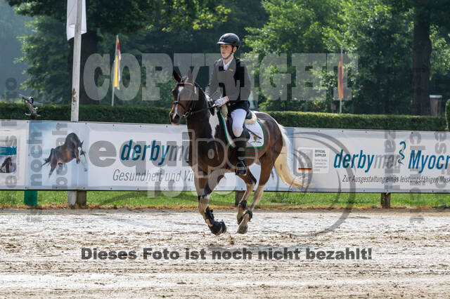 Goldene Schärpe 2021 - Ponys