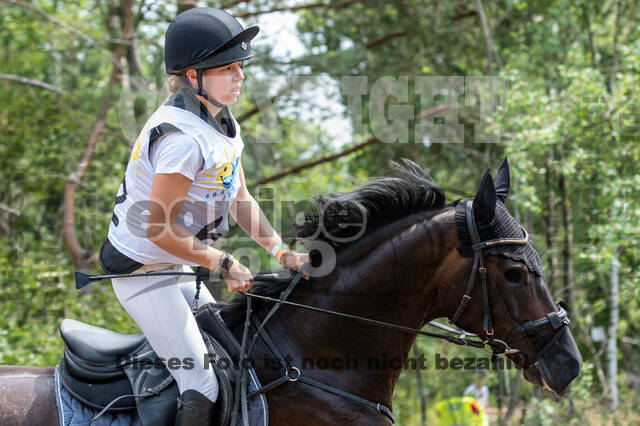 Late-Entry Vielseitigkeit Hamminkeln/Wesel (01.+02.08.2020)