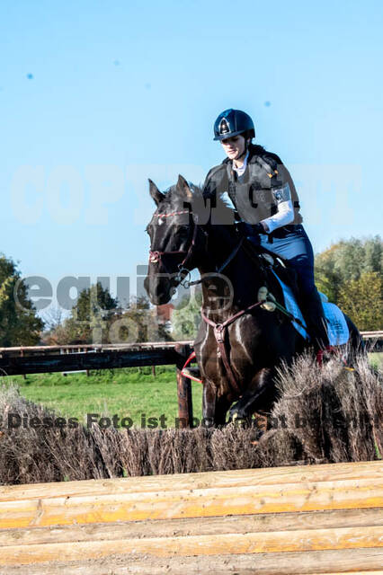 Vielseitigkeitslehrgang mit Jürg Kurbel (9.+10.11.2019)