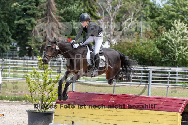 Late-Entry-Vielseitigkeit Langenfeld (06.+07.07.2020)