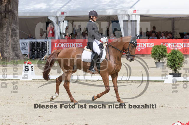 FEI European Championship Eventing 2017