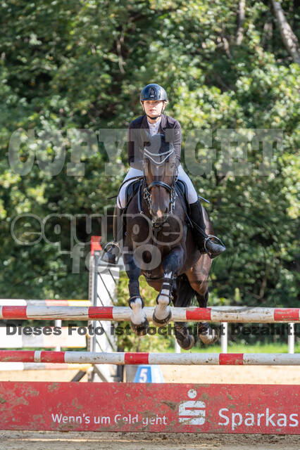 RFV Dinslaken-Hiesfeld (Herbstturnier)