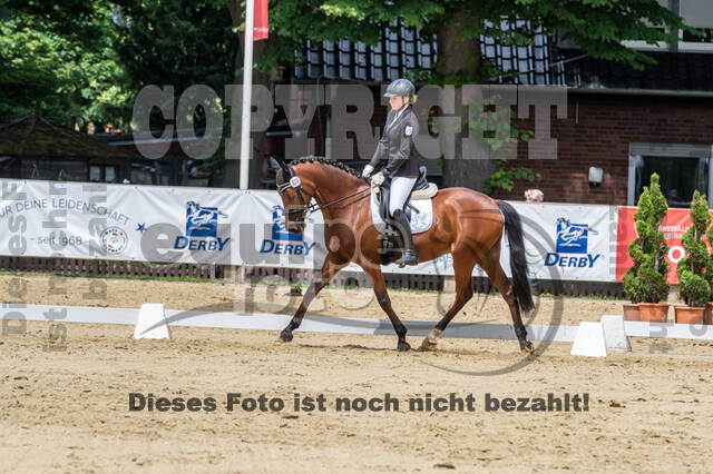 Goldene Schärpe 2021 - Ponys