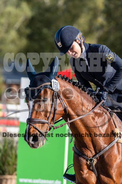 Deutsche Meisterschaft Vielseitigkeit (Luhmühlen)