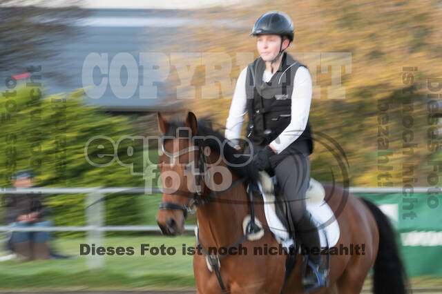 IGV Lehrgang der Sieger der Cups mit Frank Ostholt