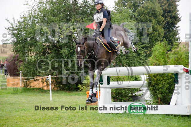 FEI European Championship
