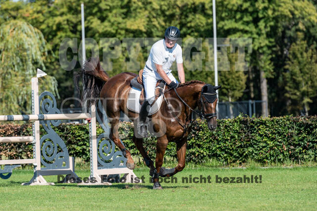 Kronenberg - De Peelbergen (August 2020)