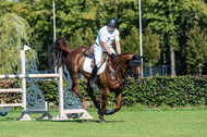 Kronenberg - De Peelbergen (August 2020)