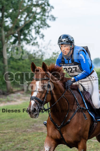 De Peelbergen (August 2020)