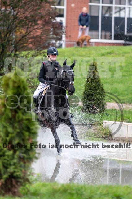 Goldene Schärpe 2020 - Pferde