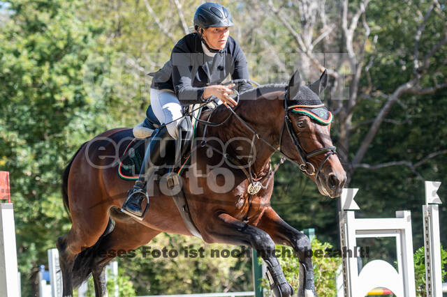 RFV Dinslaken-Hiesfeld (Herbstturnier)