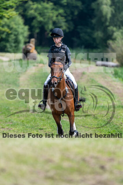 Goldene Schärpe 2021 - Ponys