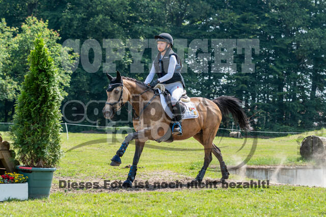 Goldene Schärpe 2021 - Ponys