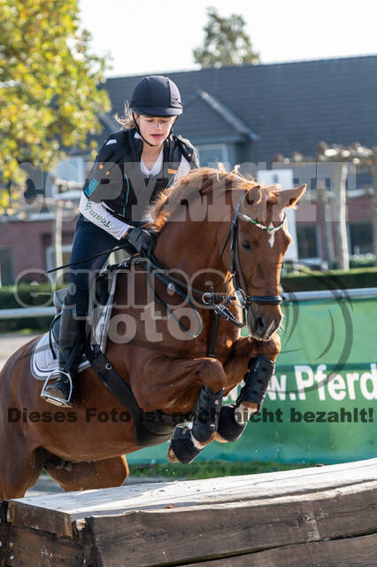 IGV Lehrgang der Sieger der Cups mit Frank Ostholt