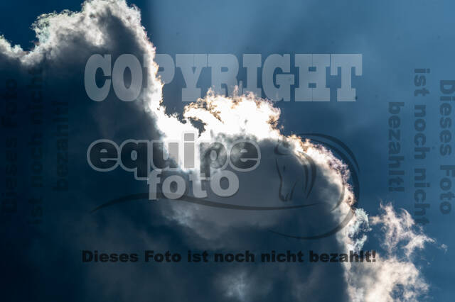 Goldene Schärpe 2021 - Ponys