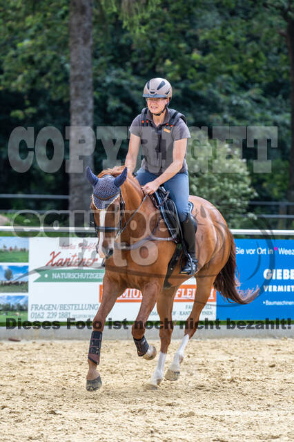 Hunter Geländetraining 10.07.2021 (Sonsbeck)