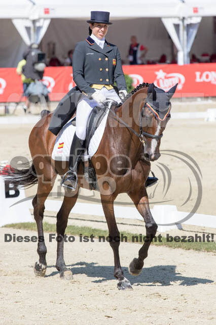 FEI European Championship Eventing 2017