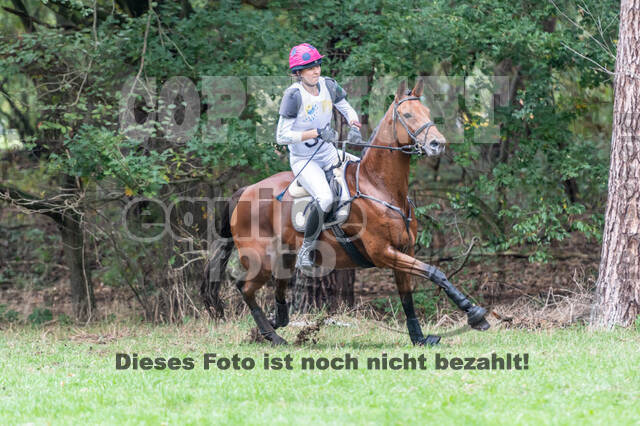 Vielseitigkeit RSV Wesel Obrighoven (26.+27.09.2020)