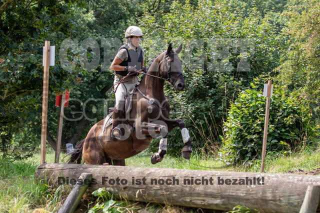 Late-Entry-Vielseitigkeit Gahlen (18.07.2020)