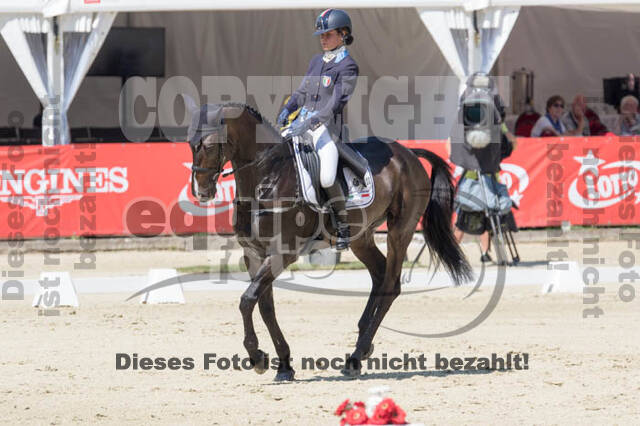 FEI European Championship