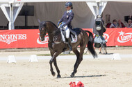 FEI European Championship
