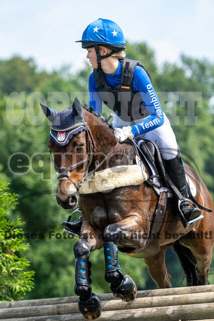 Goldene Schärpe 2021 - Ponys