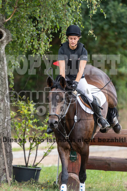 Late-Entry-Vielseitigkeit Langenfeld (11.+13./14.06.2020)