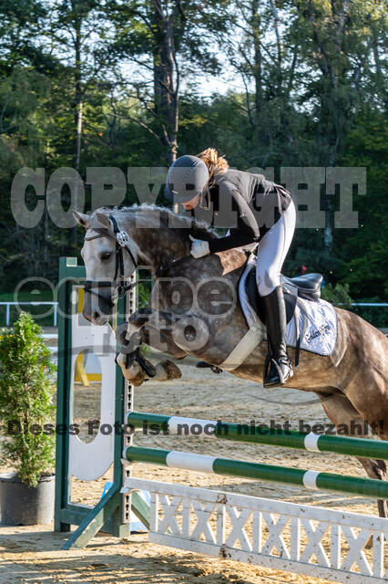 RFV Dinslaken-Hiesfeld (Herbstturnier)