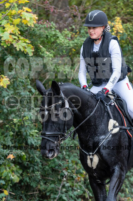 Goldene Schärpe 2020 - Pferde