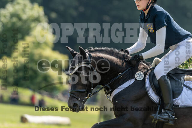Goldene Schärpe 2021 - Ponys