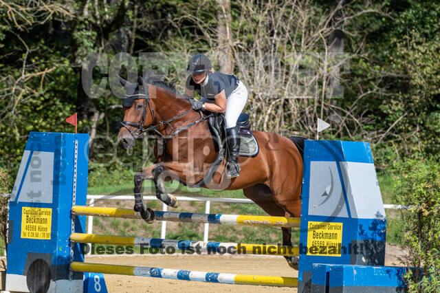 RFV Dinslaken-Hiesfeld (Herbstturnier)