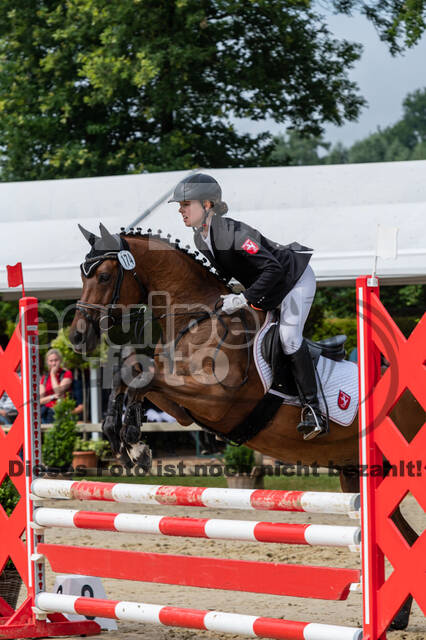 Goldene Schärpe 2021 - Ponys