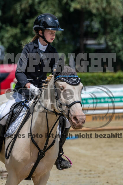 Goldene Schärpe 2021 - Ponys