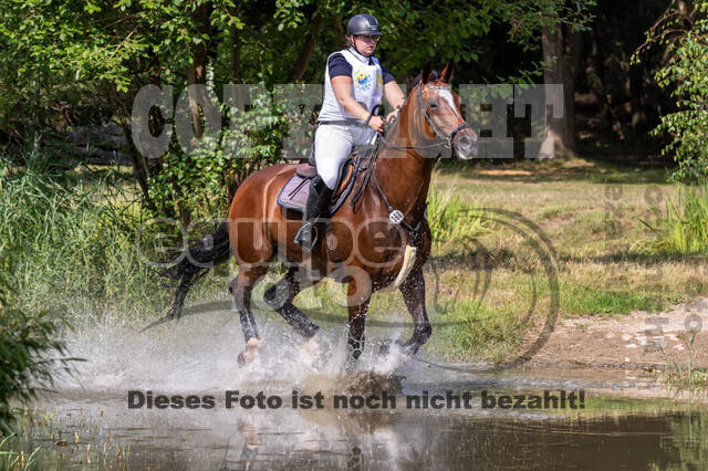 Late-Entry Vielseitigkeit Hamminkeln/Wesel (01.+02.08.2020)