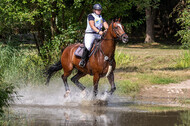 Late-Entry Vielseitigkeit Hamminkeln/Wesel (01.+02.08.2020)