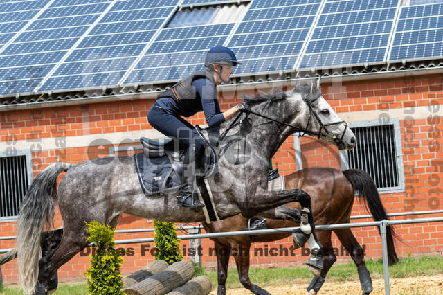 Hunter Geländetraining 10.07.2021 (Sonsbeck)
