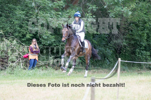 Wiesbadener Pfingstturnier (Vielseitigkeit)