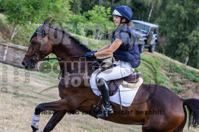 Late-Entry Vielseitigkeit Hamminkeln/Wesel (01.+02.08.2020)