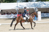 FEI European Championship