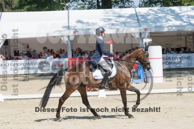 FEI European Championship