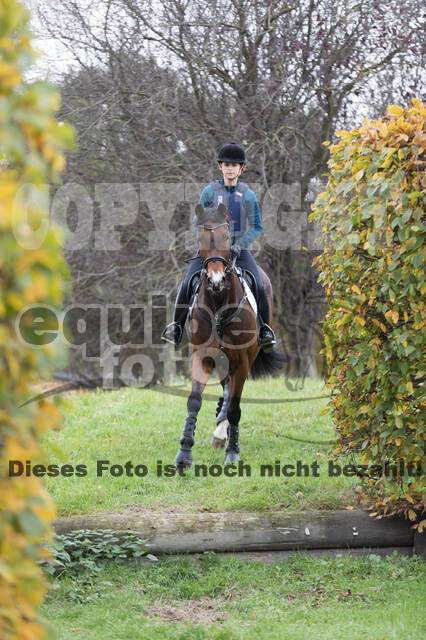 IGV Lehrgang der Sieger der Cups mit Frank Ostholt