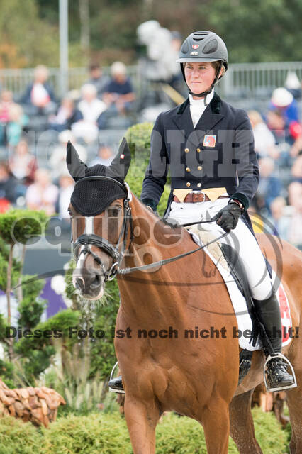 FEI European Championship Eventing 2019