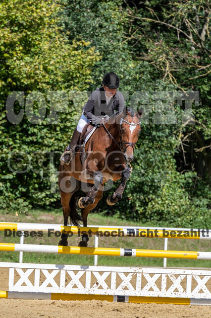RFV Dinslaken-Hiesfeld (Herbstturnier)