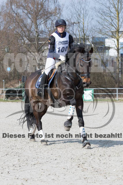 Eventing Langenfeld 2018