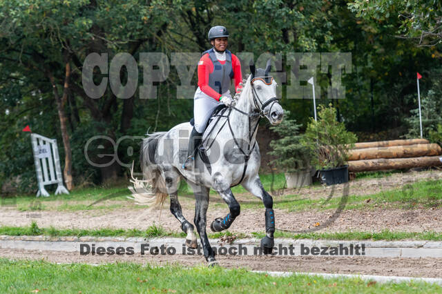 Goldene Schärpe 2020 - Pferde