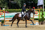 Goldene Schärpe 2021 - Ponys
