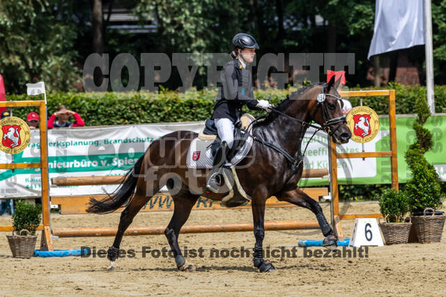 Goldene Schärpe 2021 - Ponys